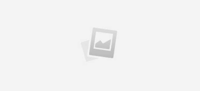 Обзор Вепрь Молот ВПО 205